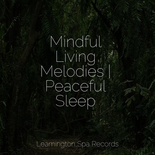 Mindful Living Melodies | Peaceful Sleep