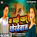 Na Chahi Pyar Dhokhebaj