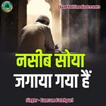 Naseeb Soya Jagaya Gaya Hai