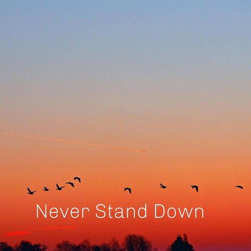 Never Stand Down