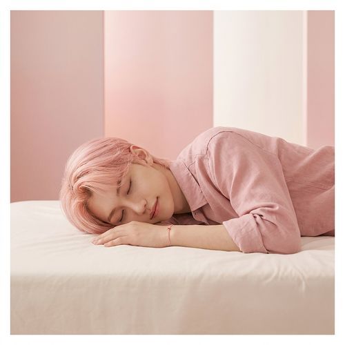 분홍낮잠 (Pink Siesta)
