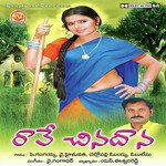 Katta Medha Poyeti