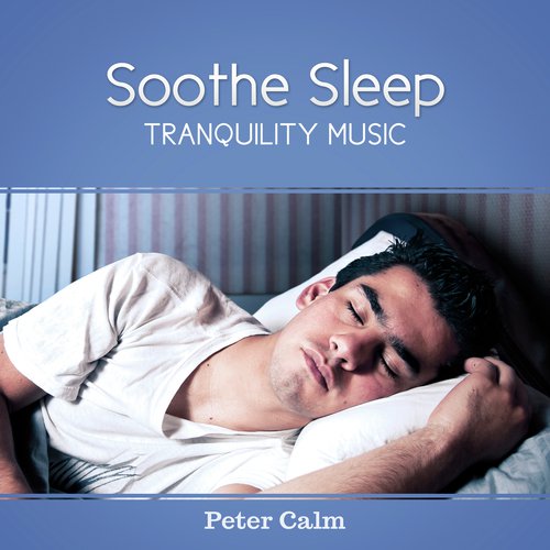 Sleep System cover art