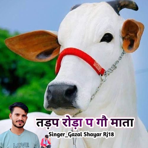 Tadap Roda P Gou Mata