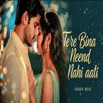 Tere Bina Nind Nahi Aati