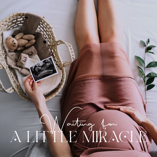 Pregnancy Yoga Club cover art