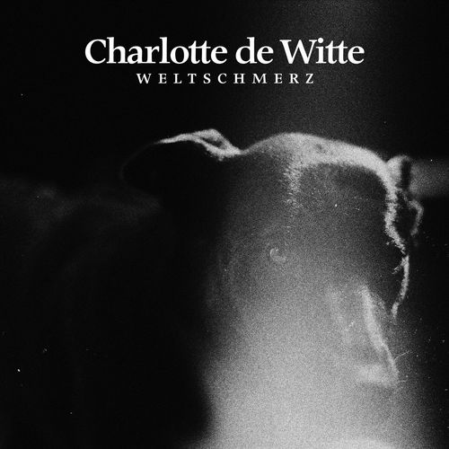 Weltschmerz cover art