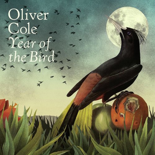 Robert cover art