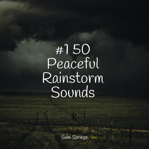 #1 50 Peaceful Rainstorm Sounds_poster_image