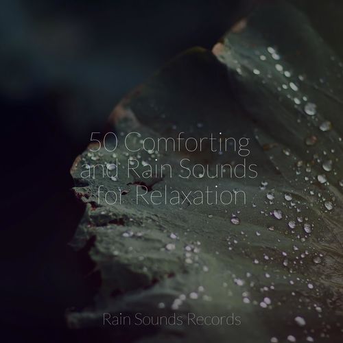 50 Comforting and Rain Sounds for Relaxation