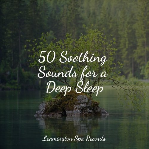 50 Soothing Sounds for a Deep Sleep