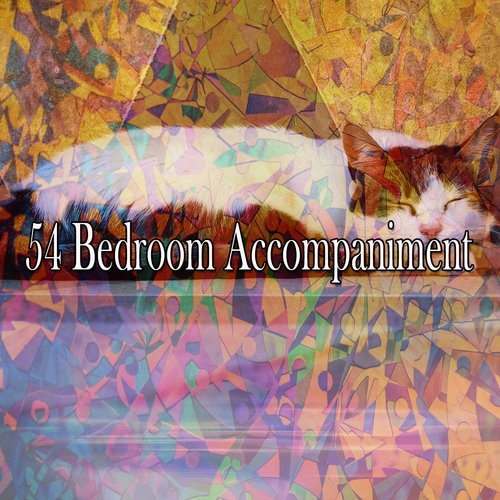 54 Bedroom Accompaniment