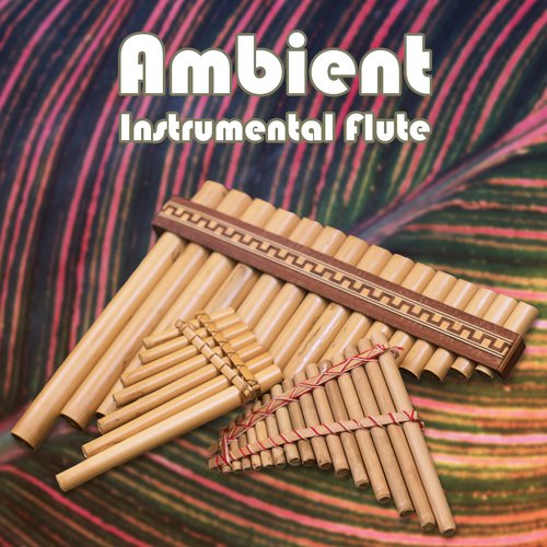 Ambient Instrumental Flute, Classical Soothing, Shamanic Healing, Rest Melodies, Wellbeing, Meditation, Yoga, Ayurveda & Sleeping_poster_image