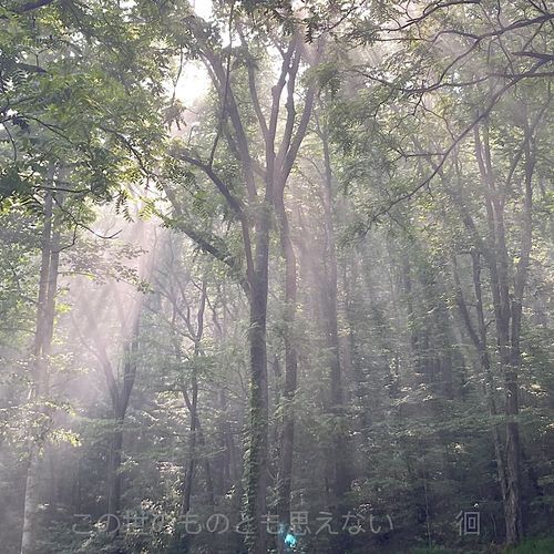 昃 cover art