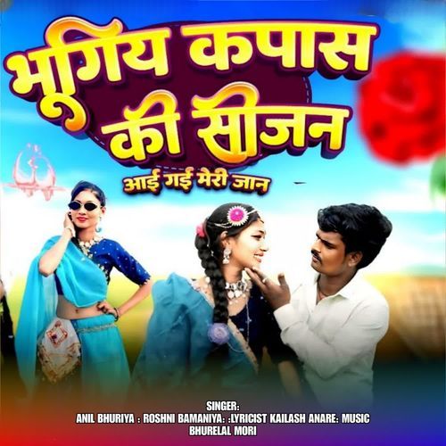 Bhugiya Kapas ki season Aai Gai Mari Jana