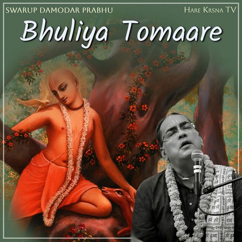 Bhuliya Tomaare