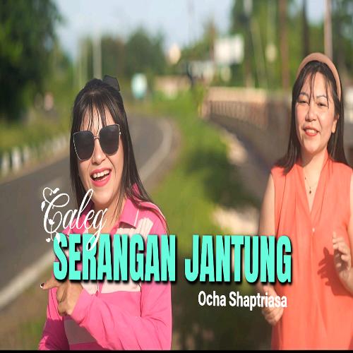 Caleg Serangan Jantung cover art
