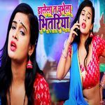 Dalela Ta Chubhe La Bhitari artwork