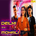 Delhi to Mohali