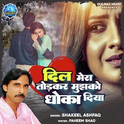 Dil Mera Todkar Mujhko Dhoka Diya-OzENbjtnQ18