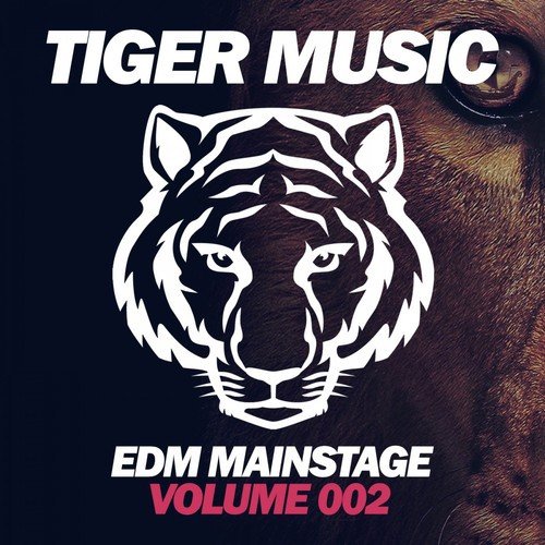 EDM Mainstage (Volume 002)