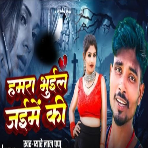 Hamra Bhuil Jaime Ki