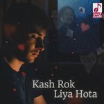 Kash Rok Liya Hota