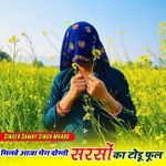 Milwe Aaja Mera Dosti Sarso Ka Todu Fhul