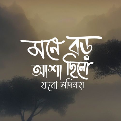 Mone Boro Asha Chilo