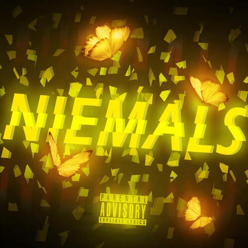 Niemals_poster_image