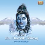 Om Namah Shivay