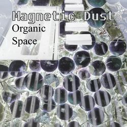 Space Tribes by Magnetic Dust