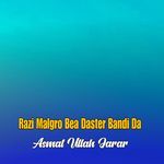 Razi Malgro Bea Daster Bandi Da