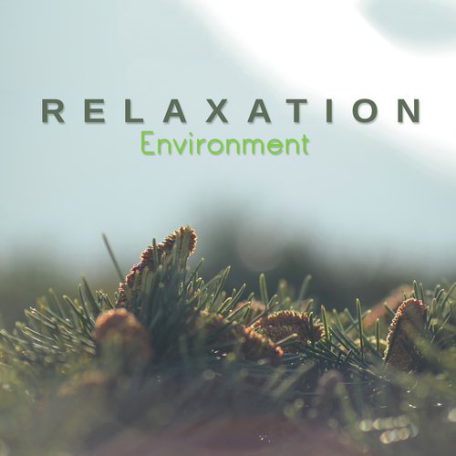 Relaxation Environment