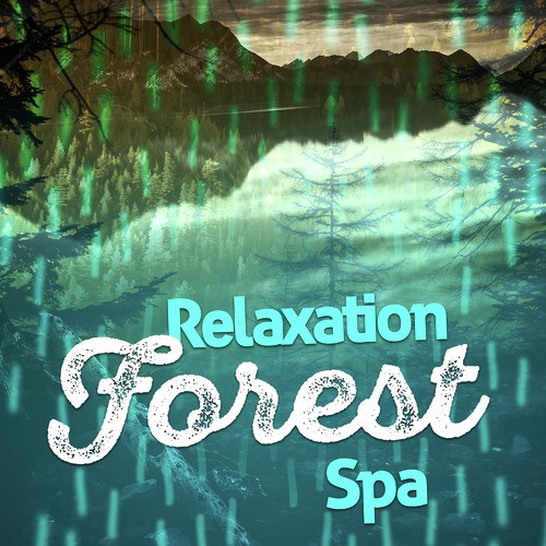 Relaxation Forest Spa_poster_image