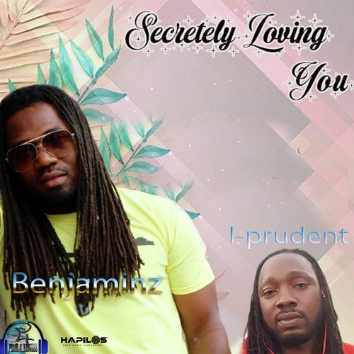 Secretely Loving You_poster_image