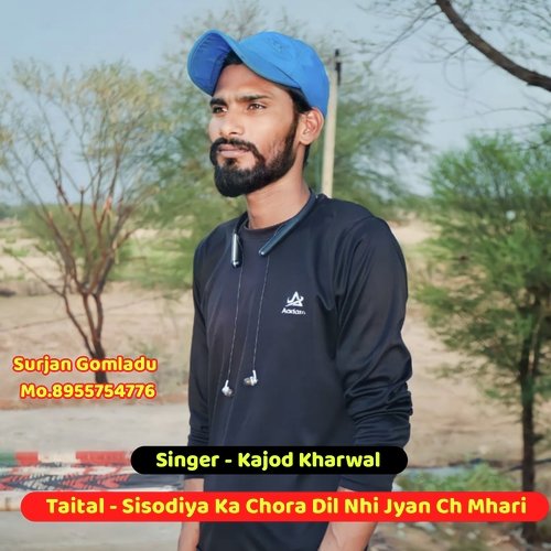 Sisodiya Ka Chora Dil Nhi Jyan Ch Mhari