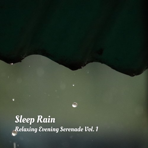 Rainy Happy Days cover art