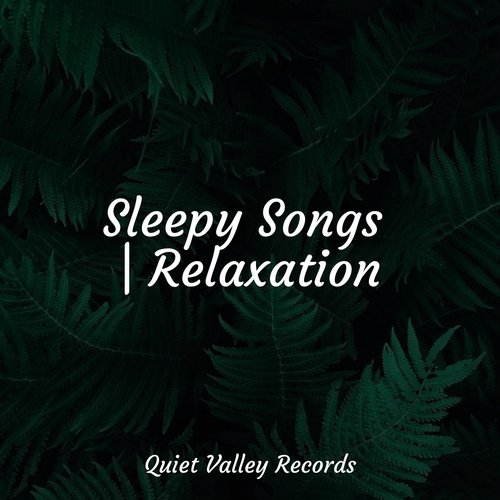 Lazy Morning cover art