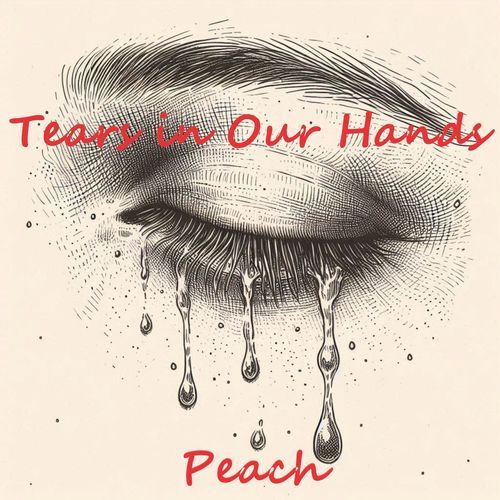 Tears in Our Hands_poster_image