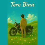 Tere Bina (A soulful romantic track that captures the pain of separation and the beauty of memories left behind. Tere Bina blends heartfelt lyrics with soothing melodies, creating an emotional listening experience.)