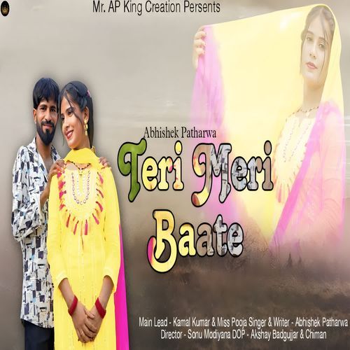 Teri Meri Baate