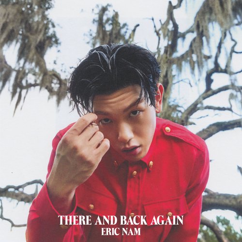 There And Back Again_poster_image