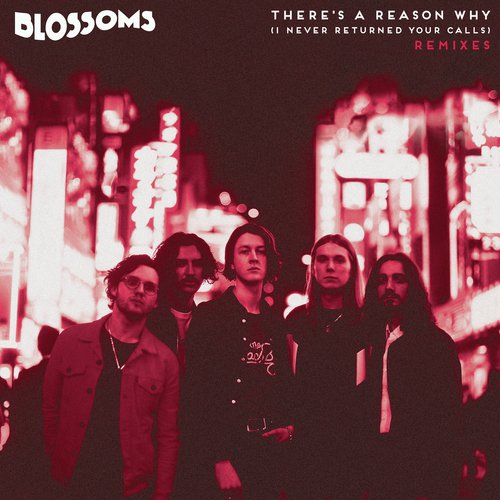 There&#039;s A Reason Why (I Never Returned Your Calls) (Remixes)_poster_image