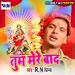 Tum Mere Bad - Single