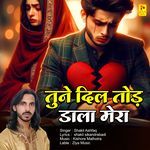 Tune Dil Tod Dala Mera