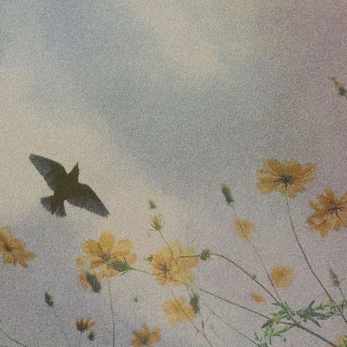Yugen cover art