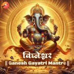 Vighneshwar Ganesh Gayatri Mantra