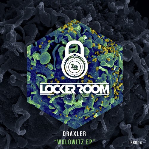 Turtle (Original Mix)
