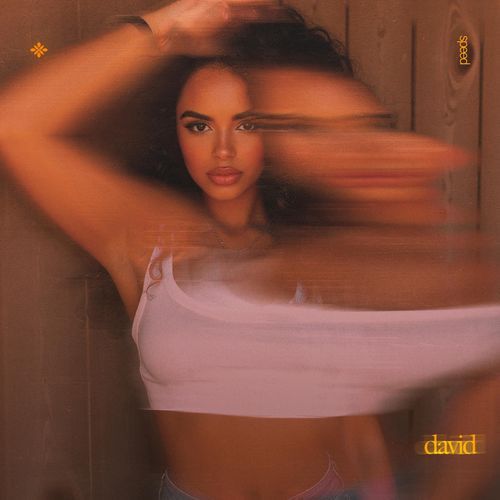 david (speed) cover art